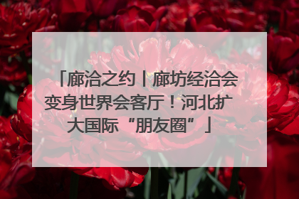 廊洽之约丨廊坊经洽会变身世界会客厅！河北扩大国际“朋友圈”