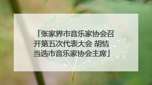 张家界市音乐家协会召开第五次代表大会 胡情当选市音乐家协会主席
