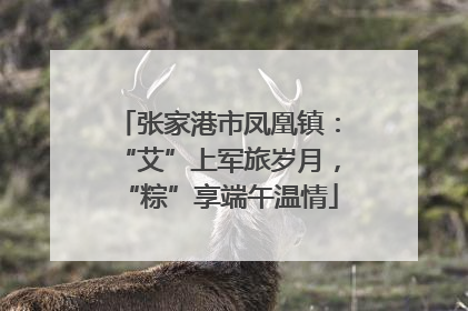 张家港市凤凰镇：“艾”上军旅岁月，“粽”享端午温情