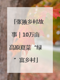 张掖乡村故事｜10万亩高原夏菜“绿”富乡村