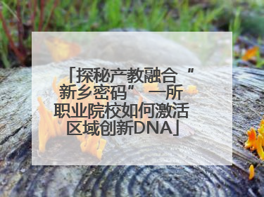 探秘产教融合“新乡密码” 一所职业院校如何激活区域创新DNA