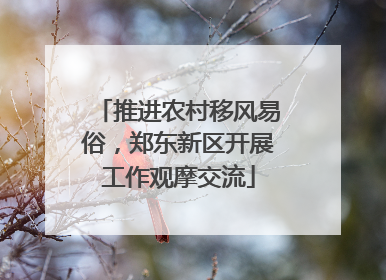 推进农村移风易俗，郑东新区开展工作观摩交流