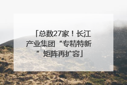 总数27家！长江产业集团“专精特新”矩阵再扩容