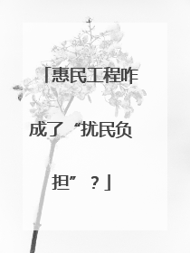 惠民工程咋成了“扰民负担”？