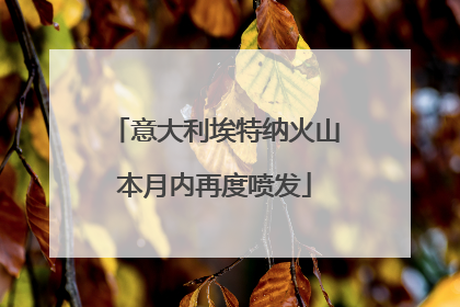 意大利埃特纳火山本月内再度喷发