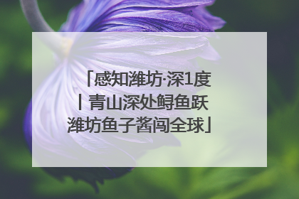 感知潍坊·深1度丨青山深处鲟鱼跃 潍坊鱼子酱闯全球