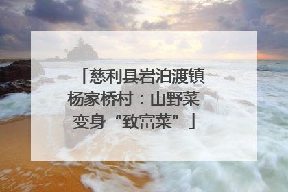 慈利县岩泊渡镇杨家桥村：山野菜变身“致富菜”