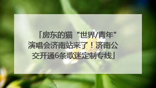 房东的猫“世界/青年”演唱会济南站来了！济南公交开通6条歌迷定制专线