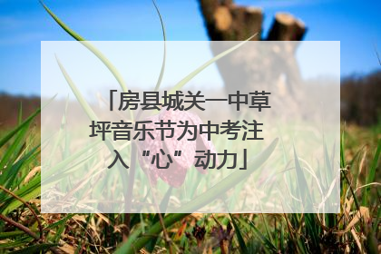 房县城关一中草坪音乐节为中考注入“心”动力