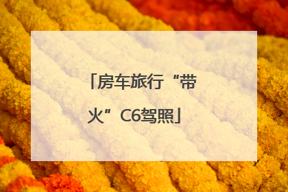 房车旅行“带火”C6驾照