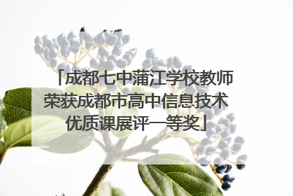 成都七中蒲江学校教师荣获成都市高中信息技术优质课展评一等奖