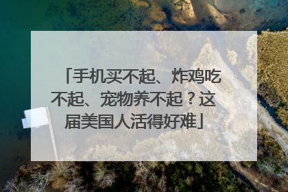 手机买不起、炸鸡吃不起、宠物养不起？这届美国人活得好难