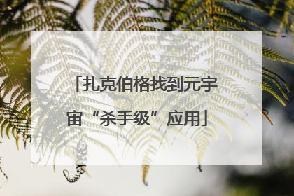 扎克伯格找到元宇宙“杀手级”应用