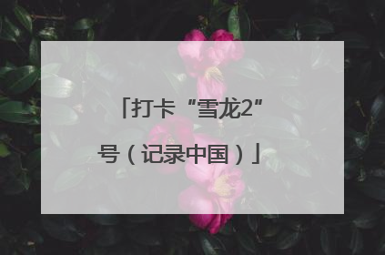 打卡“雪龙2”号（记录中国）