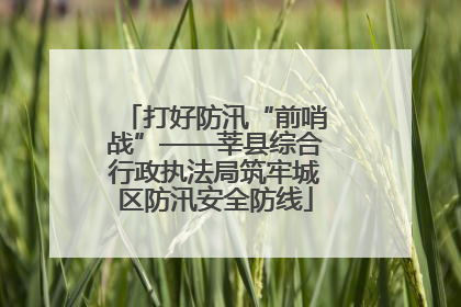 打好防汛“前哨战”——莘县综合行政执法局筑牢城区防汛安全防线