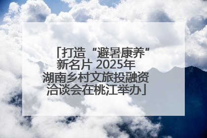打造“避暑康养”新名片 2025年湖南乡村文旅投融资洽谈会在桃江举办