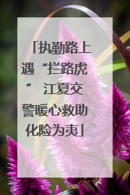 执勤路上遇“拦路虎” 江夏交警暖心救助化险为夷