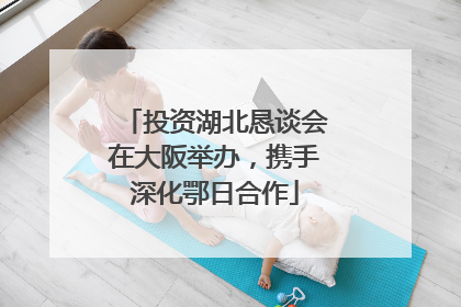 投资湖北恳谈会在大阪举办，携手深化鄂日合作