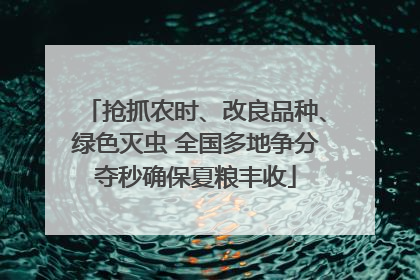 抢抓农时、改良品种、绿色灭虫 全国多地争分夺秒确保夏粮丰收