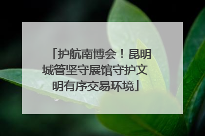 护航南博会！昆明城管坚守展馆守护文明有序交易环境