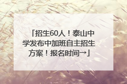 招生60人！泰山中学发布中加班自主招生方案！报名时间→