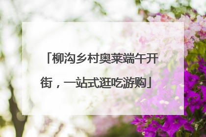 柳沟乡村奥莱端午开街，一站式逛吃游购