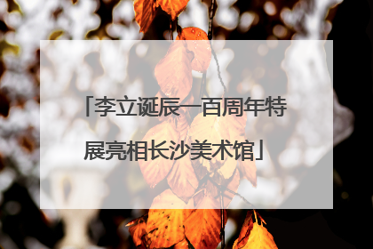 李立诞辰一百周年特展亮相长沙美术馆