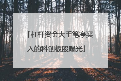 杠杆资金大手笔净买入的科创板股曝光