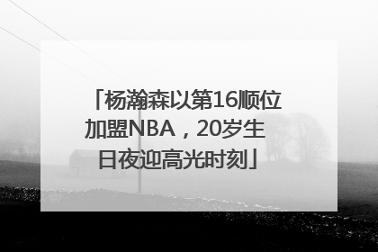 杨瀚森以第16顺位加盟NBA，20岁生日夜迎高光时刻