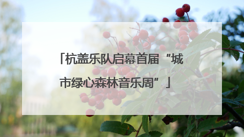 杭盖乐队启幕首届“城市绿心森林音乐周”