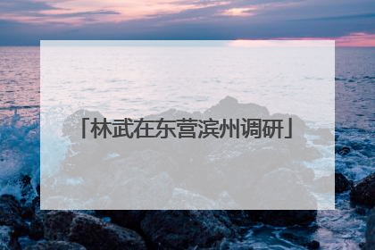 林武在东营滨州调研
