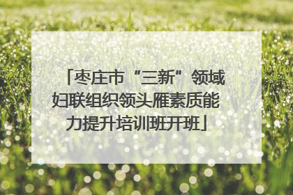 枣庄市“三新”领域妇联组织领头雁素质能力提升培训班开班