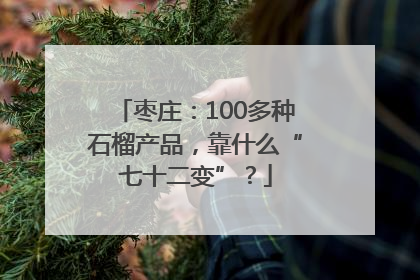 枣庄：100多种石榴产品，靠什么“七十二变”？