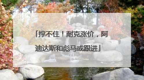 撑不住！耐克涨价，阿迪达斯和彪马或跟进