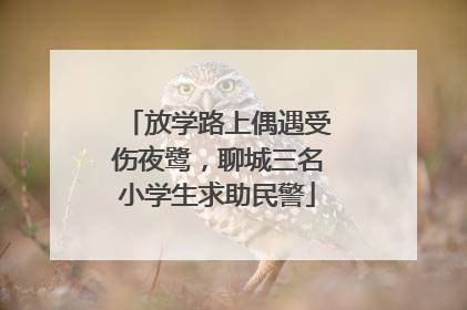 放学路上偶遇受伤夜鹭，聊城三名小学生求助民警