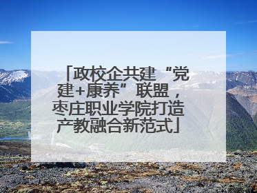 政校企共建“党建+康养”联盟，枣庄职业学院打造产教融合新范式