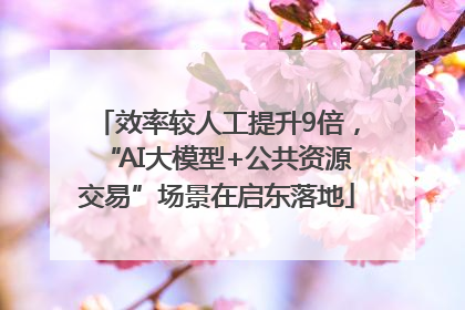 效率较人工提升9倍，“AI大模型+公共资源交易”场景在启东落地