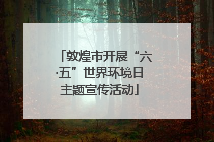 敦煌市开展“六·五”世界环境日主题宣传活动