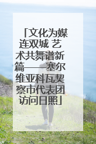文化为媒连双城 艺术共舞谱新篇——塞尔维亚科瓦契察市代表团访问日照