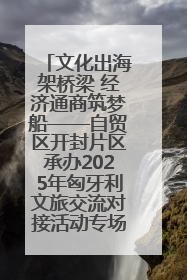 文化出海架桥梁 经济通商筑梦船——自贸区开封片区承办2025年匈牙利文旅交流对接活动专场