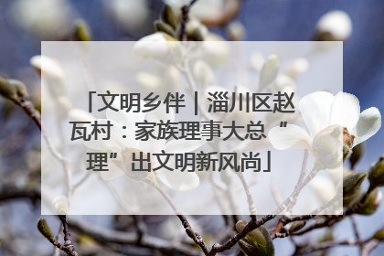 文明乡伴｜淄川区赵瓦村：家族理事大总“理”出文明新风尚