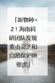 新物种+2！海南科研团队发现素贞灵芝和自然保护地壁虎