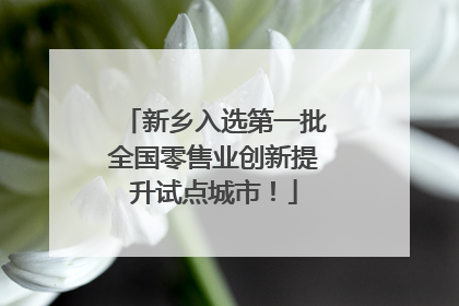 新乡入选第一批全国零售业创新提升试点城市！