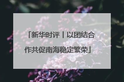 新华时评丨以团结合作共促南海稳定繁荣