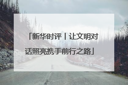 新华时评丨让文明对话照亮携手前行之路