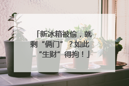 新冰箱被偷，就剩“俩门”？如此“生财”得拘！