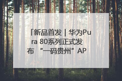 新品首发｜华为Pura 80系列正式发布 “一码贵州”APP抢先开售！