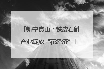 新宁崀山：铁皮石斛产业绽放“花经济”