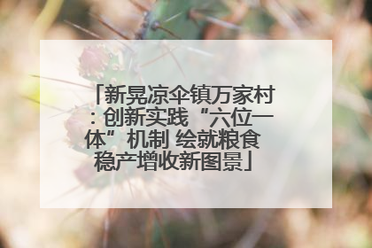 新晃凉伞镇万家村：创新实践“六位一体”机制 绘就粮食稳产增收新图景