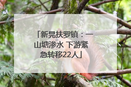 新晃扶罗镇：一山塘渗水 下游紧急转移22人